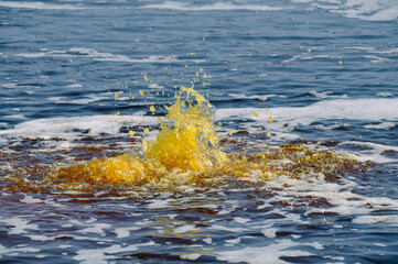 Paysages de Dallol, désert de Danakil, Éthiopie