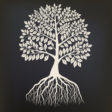 Tree with root system Silhouette isolated on dark background. Vector