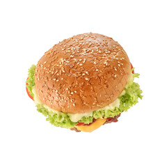 Fresh tasty burger isolated on white background