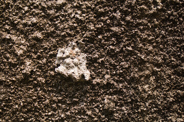 Top view of a gray mineral formation on a dark brown soil surface