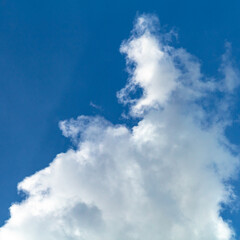 Obraz premium Nubes en un día soleado.