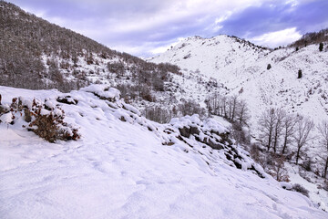 Fototapeta na wymiar Vista de la nevada del invierno pasado.