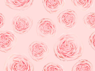 Seamless pattern with delicate pink roses.