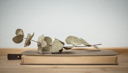 books on retro white table by bed    Scandinavian interior  neutral color palette.
