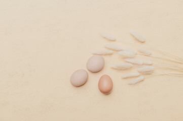 Brown dried bunny tail grass and eggs on natural beige background. Zero waste easter concept. Eco friendly lifestyle, copy space