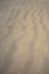 Ondulations verticales sur le sable
