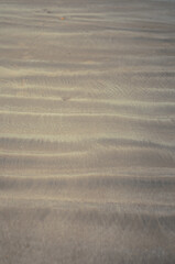 Fototapeta premium ondulation horizontales sur le sable