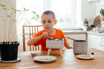 Little gardener loosening soil in ceramic pot