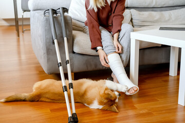 Dog cares about unrecognized woman on couch at home with crutches and orthopedic plaster. Fracture...