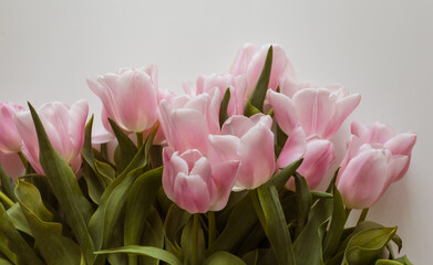 Fototapeta premium Pink tulips bouquet over the white background