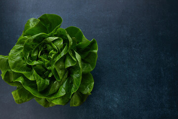 Lettuce Salad Isolated On Black - 422655351