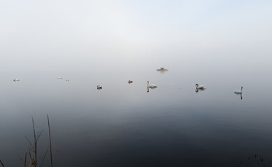 mgła  © Michal