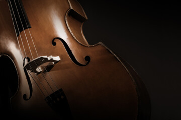 Double bass. Contrabass classical music instrument