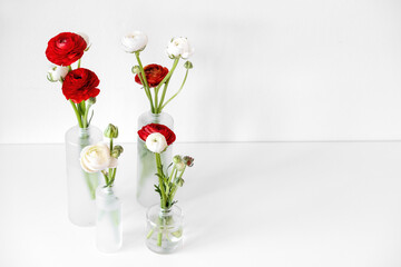 Ranunculus asiaticus in minimalist glass vase on white background. Spring flower arrangements. Authentic photo. Mood board