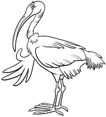 cartoon ibis bird comic animal character coloring book page