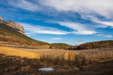 View of Eppan on the wine road on a sunny morning.