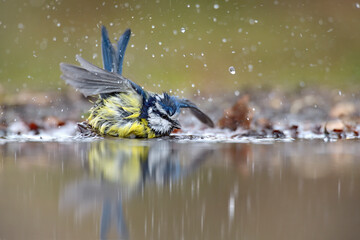 Fototapety na wymiar - Fototapeta24.pl