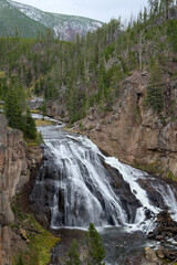 View of Gibbon Falls in Yellowstone National Park