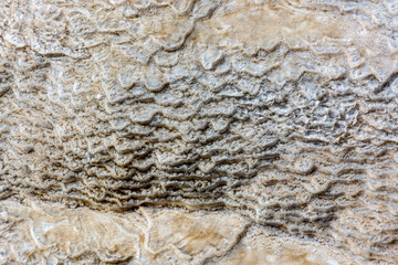 Mammoth Hot Springs