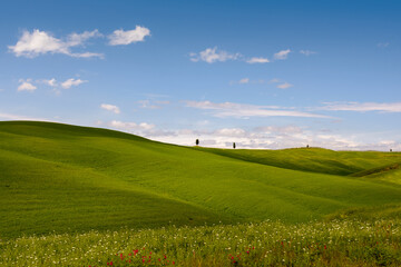 View of the scenic Tuscan countryside