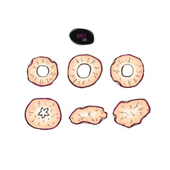 Hand drawn apple chips set. Color illustration in sketch style.
