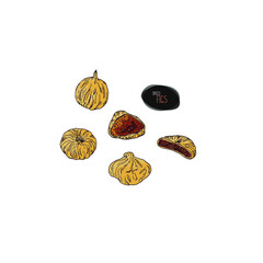 Hand drawn sketch style dried figs set. Color illustration.