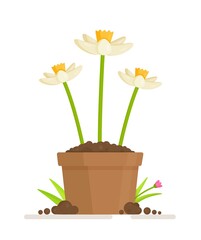 Vector illustration of a spring flower in a vase. Potted plant icon. Small plant seedlings. Planting flowers in a clearing. The beginning of spring and work in the garden and vegetable garden. 