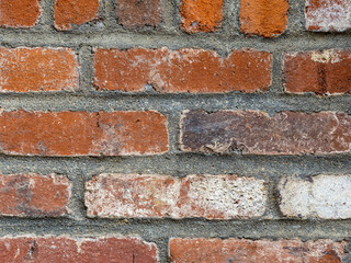 A brick wall made of red and brown textured bricks with mortar in between the bricks, up close in a macro picture.