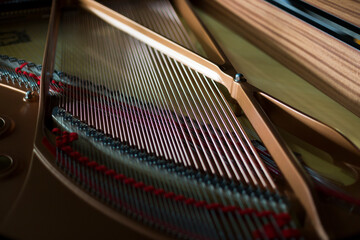 Inside grand piano background, strings in side grand piano