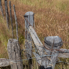 Valla junto al pasto seco.