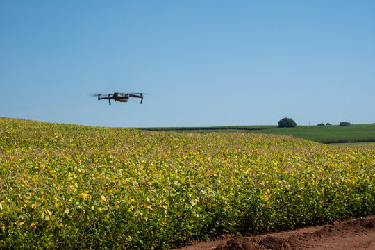 drone flying over soy plantation on sunny day in Brazil