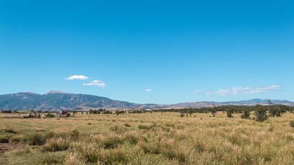 Día soleado en el campo con montes de fondo.