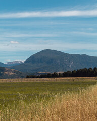 Fototapeta premium Día soleado en el campo con montes de fondo.
