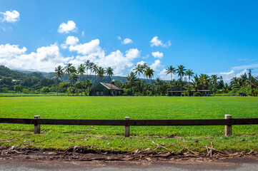 Fototapeta na wymiar Tropical Farmhouse on the Road to Hana, Maui, Hawaii