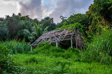 Old rundown straw hut in the jungle on the Road to Hana, Maui, Hawaii 