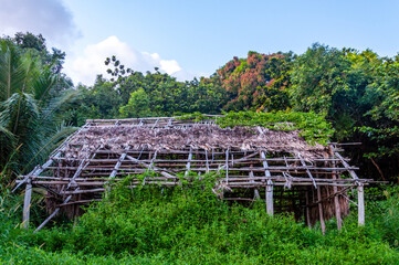 Old rundown straw hut in the jungle on the Road to Hana, Maui, Hawaii 