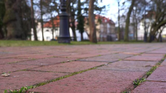 Caucasian Male Picking Up A Lost Brown Leather Wallet Laying on the Ground in A City Park with Monney Bill Inside Close Up
