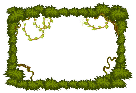 Blank banner with jungle tree elements frame template