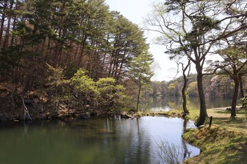 逆光の磐梯高原五色沼の柳沼　（福島県北塩原村）