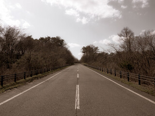 快適な道路