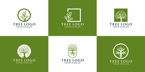 collection of natural tree logos