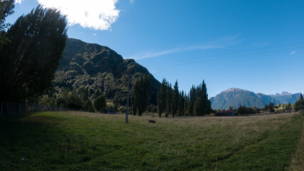 D&iacute;a soleado en el campo.