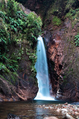 Gran cascada rodeada de plantas.