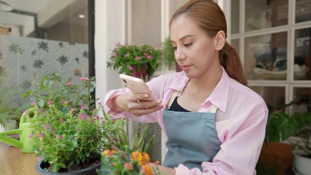 Young woman take a photo of her plant post on social media to share her hobby