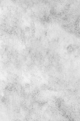 Vertical black and white watercolour background, Watercolour painting soft textured on wet white paper background, Abstract black and white  watercolor illustration banner, wallpaper