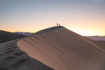 sand dunes in the desert
