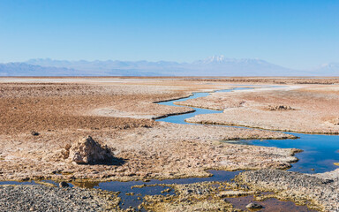 Atacama Salar
