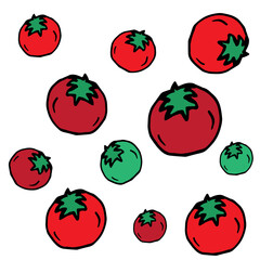 red and green tomato icon. repeat pattern. white background. black outline. ripe and raw tomato. hand drawn vector. doodle art for wallpaper, backdrop, wrapping paper, fabric, textile, logo. 