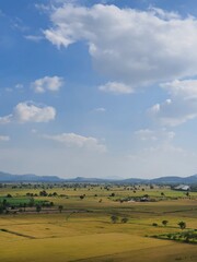 Fototapeta premium landscape with sky