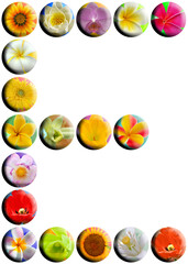 Lettre e, boutons fleuris 